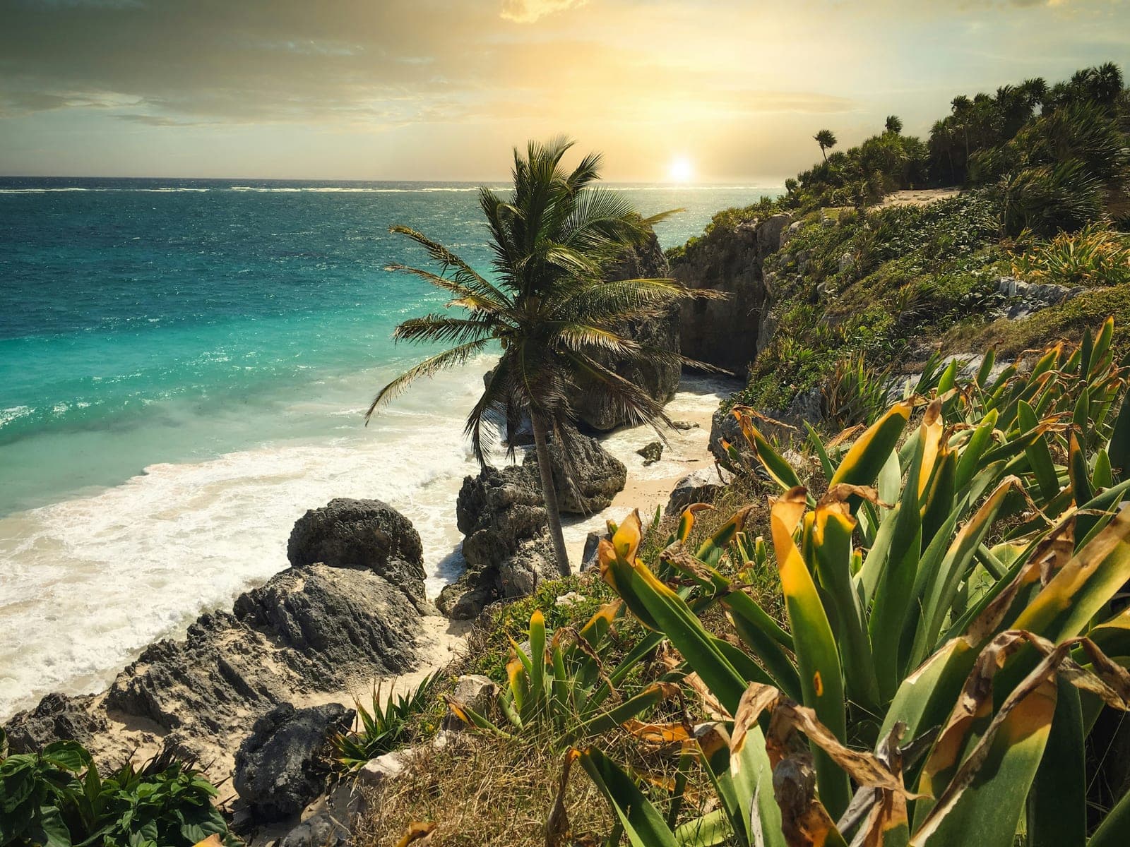 Riviera Maya lagoon and resort landscape surrounded by tropical greenery